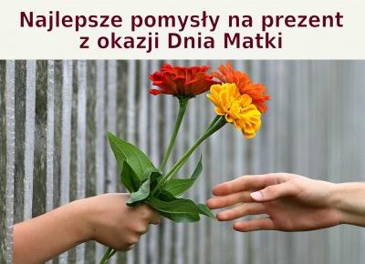 BLOG TESTERSKI:  Najlepsze Pomysły Na prezent z okazji Dnia Matki - MyGiftDNA.pl