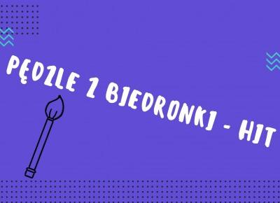 PĘDZLE DO MAKIJAŻU Z BIEDRONKI!?