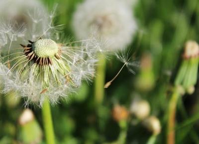 Lista rzeczy, które chcę zrobić w swoim życiu!