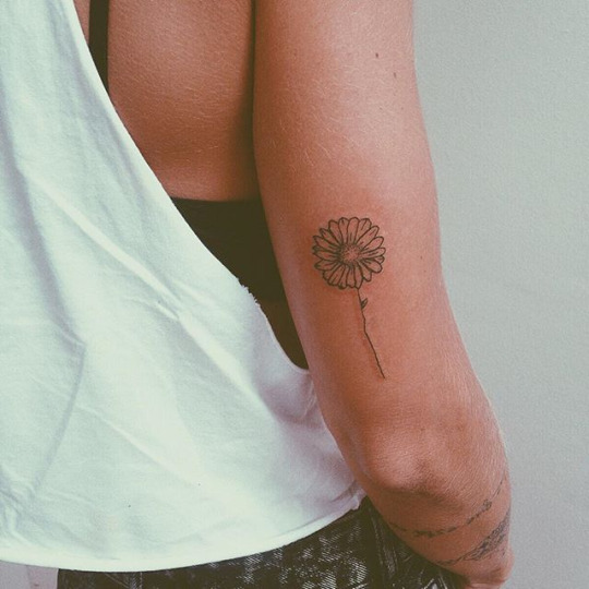 Wiktoria Blog: Różne rodzaje TUMBLR