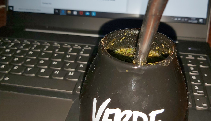 yerba mate i blog