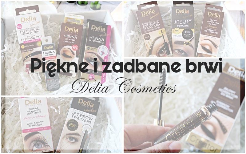 Piękne i zadbane brwi z Delia Cosmetics |   Zuzka Pisze