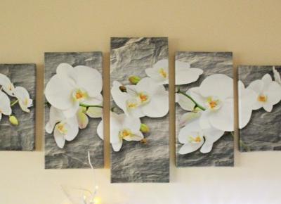 Orchidee na skale - obraz na ścianę  |   Zuzka Pisze