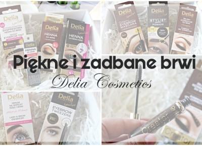 Piękne i zadbane brwi z Delia Cosmetics |   Zuzka Pisze