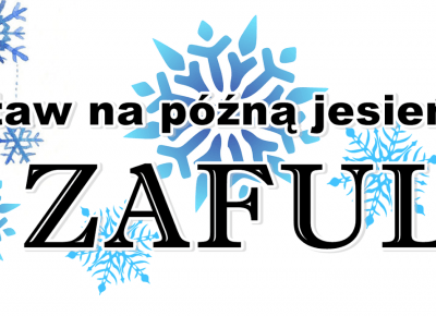 Zestaw na późną jesień ZAFUL