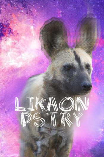 Interesujące zwierzęta: Likaon pstry