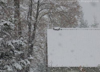 Tuczarnia Motyli: Śnieg